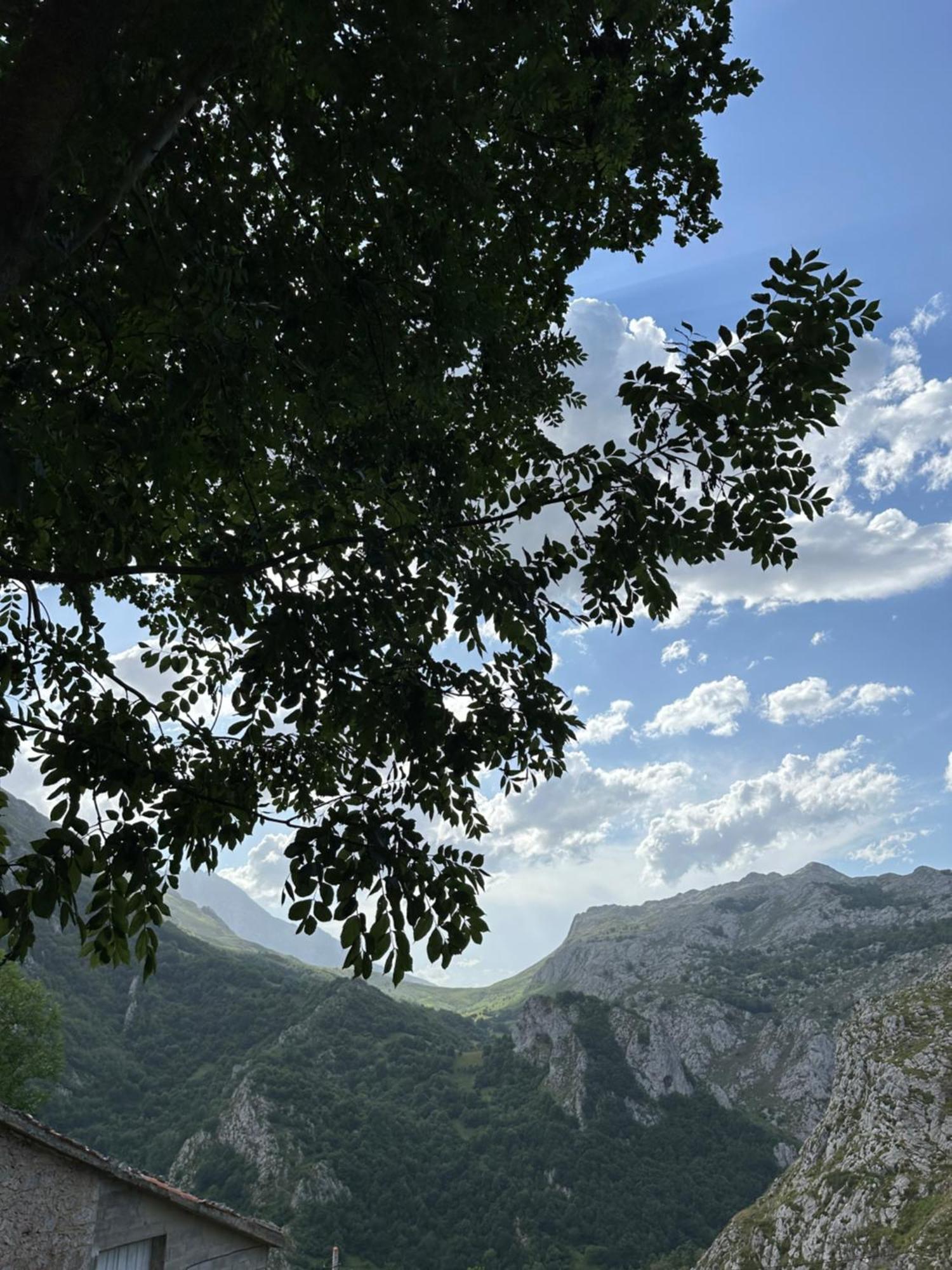 Albergue Pena Castil 索特雷斯 外观 照片